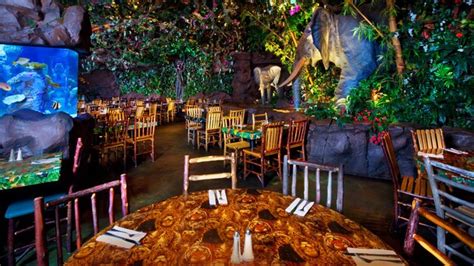 Best Animal Kingdom Restaurants - Pros and Cons (and Tips!)