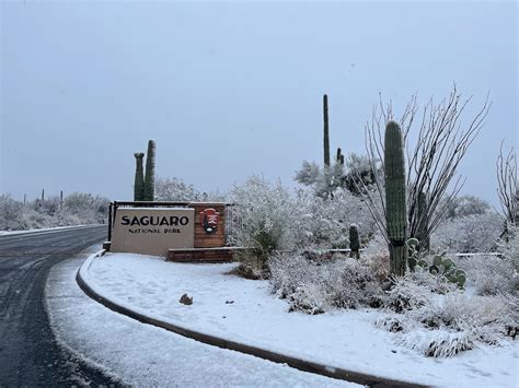 Does It Snow in Tucson Arizona? Your Guide to a White Tucson - UponArriving