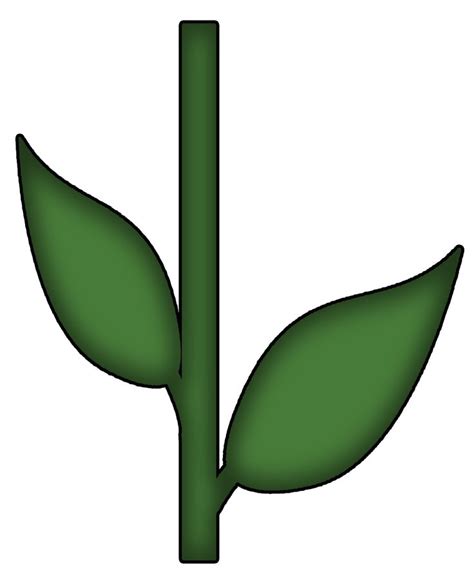 Template Of Petals Stem And Leaves - ClipArt Best