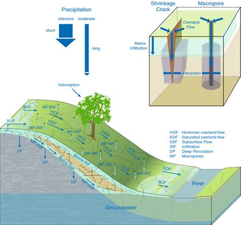 [DIAGRAM] Surface Runoff Diagram - MYDIAGRAM.ONLINE