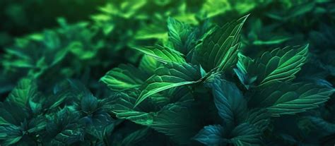 Premium AI Image | green foliage texture