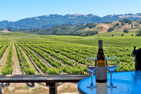 What California Wine Country Is Eating And Drinking This Socially ...