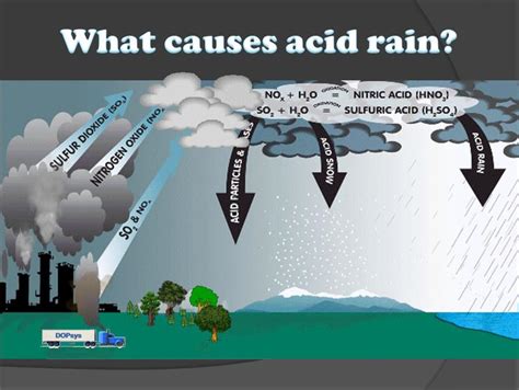 Презентация по английскому языку для учащихся 10 класса "Acid Rain"