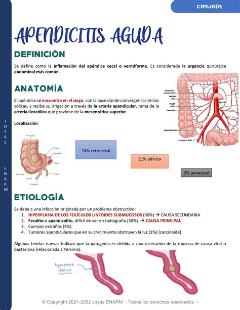 Apendicitis Aguda Y Abdomen Agudo Enarm – Theme Route