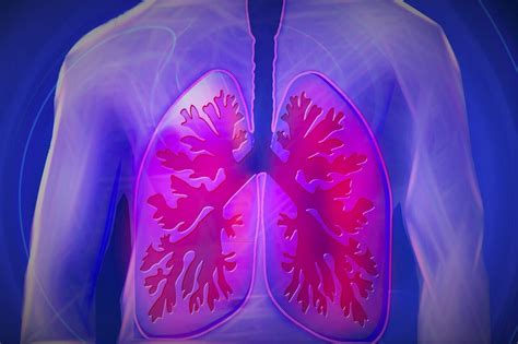 Lung-on-a-Chip: History, Origins and Development - Elveflow