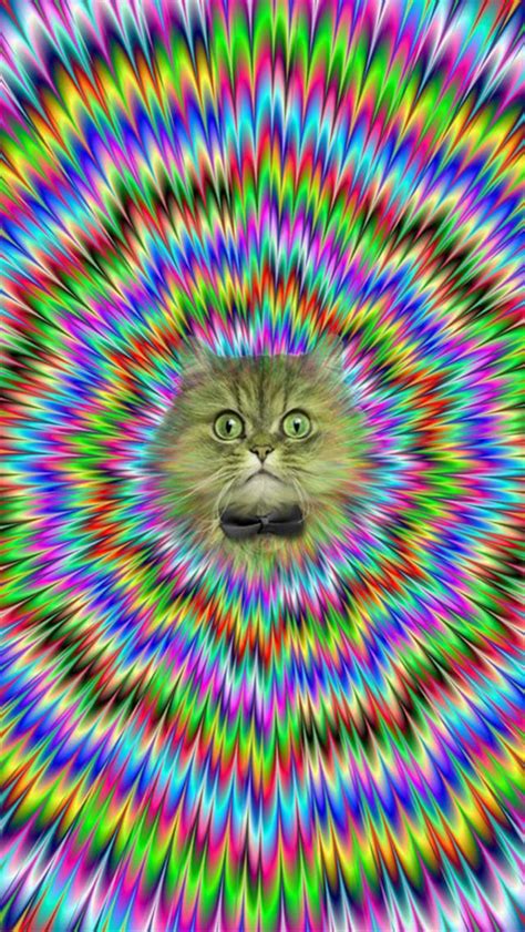 🔥 [90+] Trippy Cat Wallpapers | WallpaperSafari