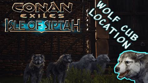 Conan Exiles: Isle Of Siptah | Wolf Cub (Pet) Location 🐺 - YouTube