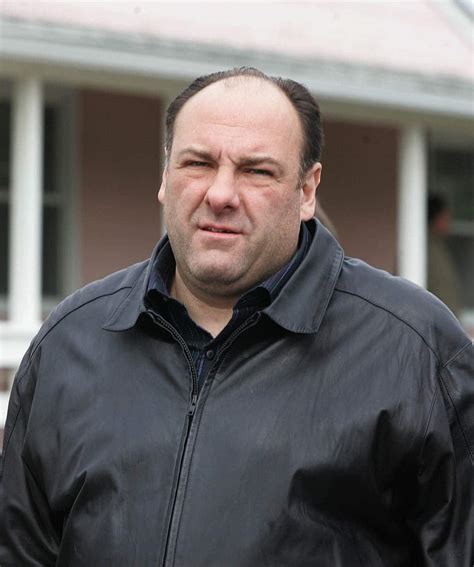 Tony Soprano James Gandolfini Black Leather Jacket - USA Leather Factory