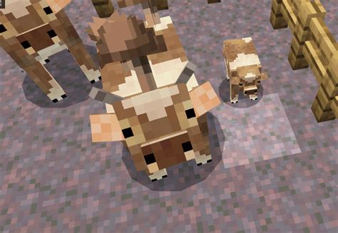 Minecraft animals resource packs - bxedeep