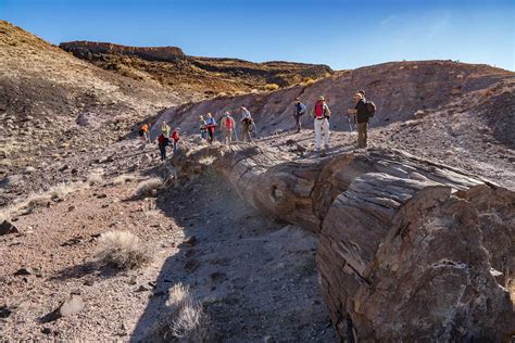 Guided Backcountry Hikes Offered at Petrified Forest | Friends of ...