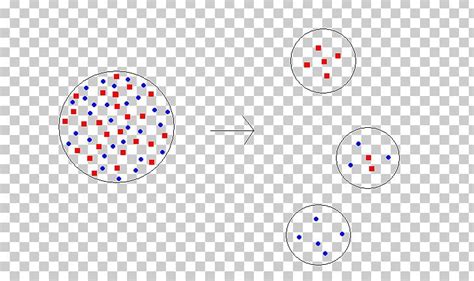 Founder Effect Population Bottleneck Gene Pool Evolution Genetic Diversity PNG, Clipart, Allele ...