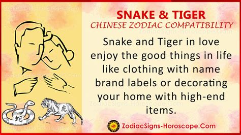 Snake and Tiger Chinese Zodiac Compatibility: Love and Relationship