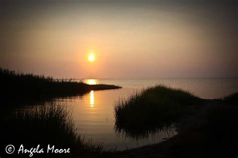 Pamlico Sound, NC | Nature photos, Photo inspiration, Nature