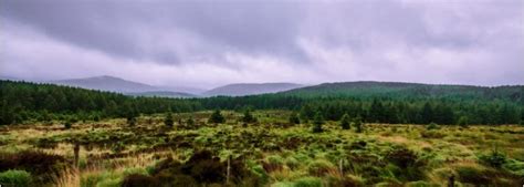 Wicklow Way | Maps & Routes - TMBtent