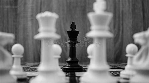 Strategy Chess Game stock photo. Image of wood, pieces - 269104134