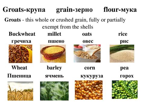 Basic raw materials of food industry - презентация онлайн