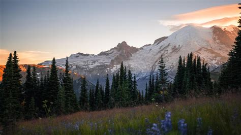 Sunrise Point, Mt. Rainier National Park,... - Stumble IMG