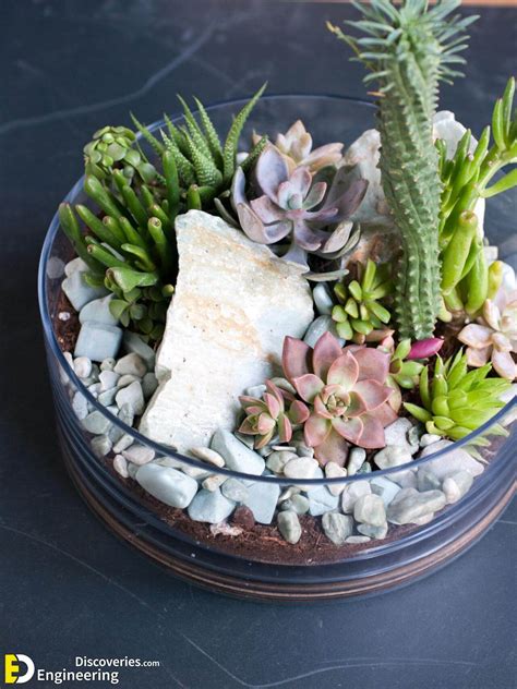 18 Amazing Indoor Rock Garden Ideas - Engineering Discoveries