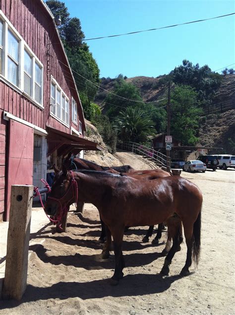 Travelbynic: Sunset Ranch / Horseback riding