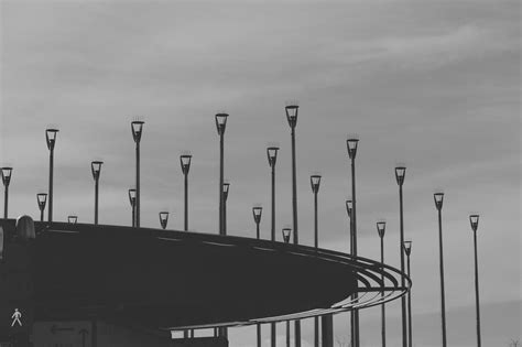 Free photo: Grayscale Photo of Road Light Post Lot - Architecture, Mist, Travel - Free Download ...