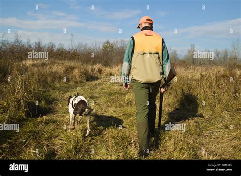 Bird Hunter with sporting dog Stock Photo - Alamy