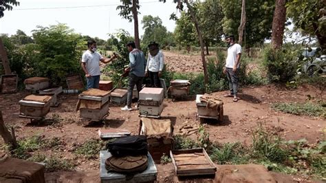 Beekeeper Training - Beefarm.co.in - Beekeeper Training