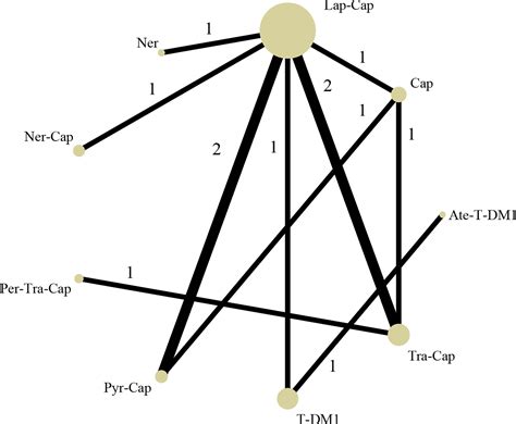 Frontiers | Efficacy and Safety of Pyrotinib Versus T-DM1 in HER2+ Metastatic Breast Cancer ...