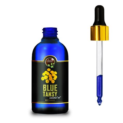 How to Use Blue Tansy Essential Oil