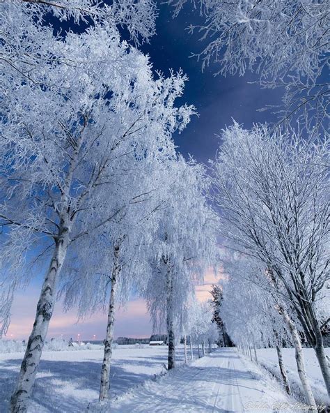 Finnish winter, Finland / Photo by @jukkarisikko | Winter scenery, Winter scenes, Beautiful ...