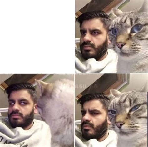 Cat and Man Template : r/MemeTemplatesOfficial