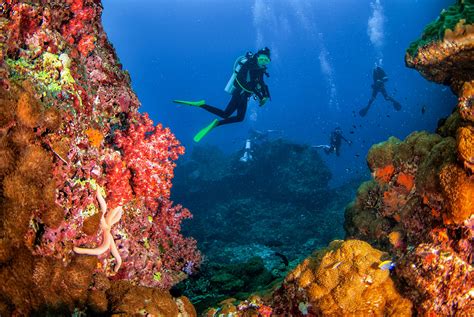 7 Best Phuket Dive Sites - PHUKET 101