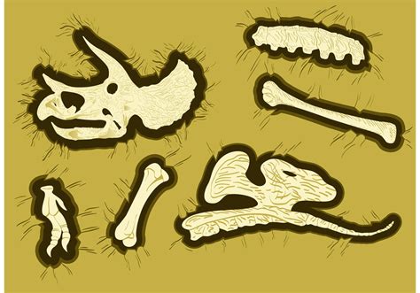 Dinosaur Bones Vectors - Download Free Vector Art, Stock Graphics & Images