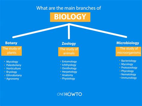 5 Branches Of Biology