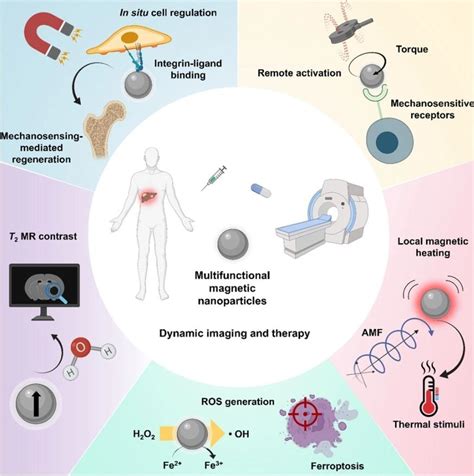 New Insights into Dynamic Imaging Use of Magnetic Nanoparticles