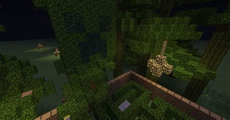 the forest maze II Minecraft Project