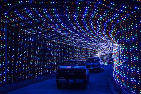 BLORA Nature in Lights - #KDHEvents | Events in the Greater Killeen Area