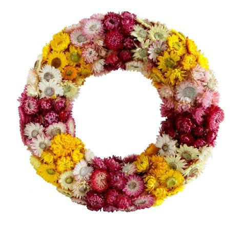 Making a Dried Flower Wreath | ThriftyFun