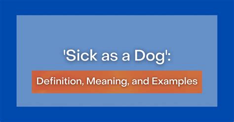 ‘Sick as a Dog’: Definition, Meaning and Examples