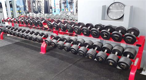 IVANKO Dumbbell Set with Rack | Gym Solutions