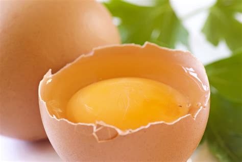 Raw eggs: worth the risk? | Dr. Scott Little, Chiropractor, Animal ...