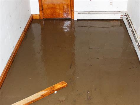 This is how you identify and repair water damage in your basement – before the great flood ...