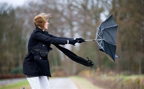 Yellow weather warning as strong winds sweep across Kent