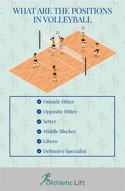 What Are the Positions in Volleyball? | AthleticLift