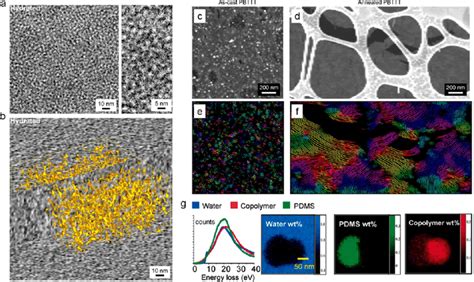 Cryogenic electron microscopy (cryo-EM) for soft polymer materials.... | Download Scientific Diagram