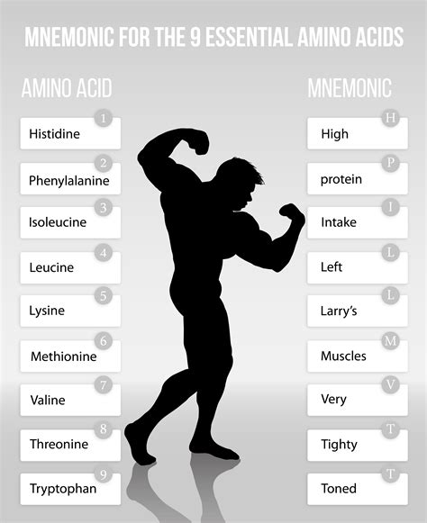 Cool Way to Remember the 9 Essential Amino Acids : r/ScientificNutrition