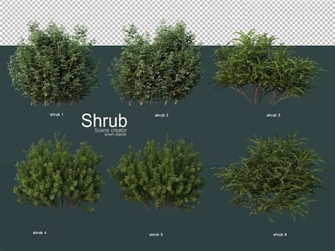 Premium PSD | Various types of shrubs