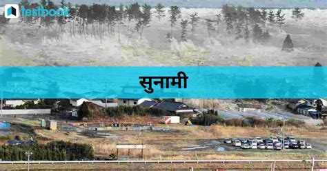 सुनामी से प्रभावित क्षेत्र-Causes and Effects of Tsunami in Hindi