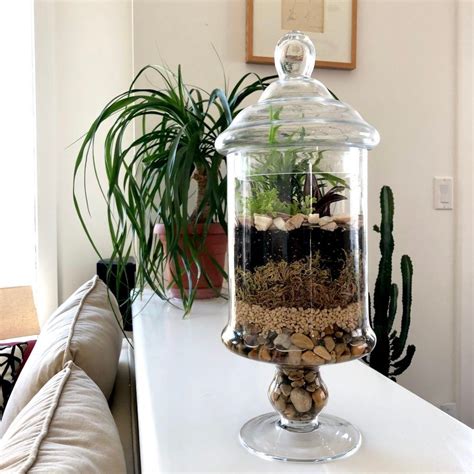 Closed Terrarium 101 - 7 Easy Steps to Build Your Glass Terrarium - My Tasteful Space | Terrario ...