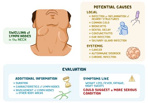 Osmosis - Cervical Lymphadenopathy: What Is It, Causes, Workup, Treatment and, More