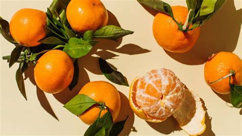 How To Grow And Care For A Clementine Tree | Gardening Know How